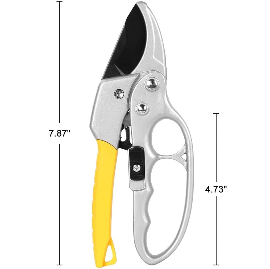 HASTHIP Gardening Scissor Stainless Steel Garden Snip with Safety Lock Garden Shears Sharp Cutter Pruners Scissor for Lawn, Garden & Potted Plants (A) HASTHIP Gardening Scissor Stainless Steel Garden Snip with Safety Lock Garden Shears Sharp Cutter Pruners Scissor for Lawn, Garden & Potted Plants (A)